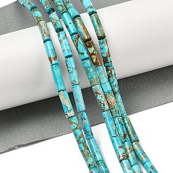 Крашеные бусы из натуральной императорской яшмы G-H087-H01-01A