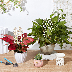 Деревянная решетка для растений WOOD-WH0125-17B