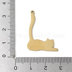 Pendentifs en acier inoxydable 304&nbsp;STAS-E501-11G