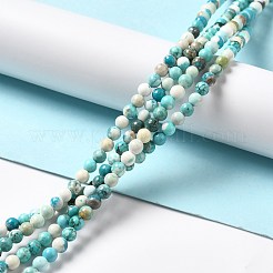 Бусины из натурального магнезита&nbsp;G-L555-02A-02