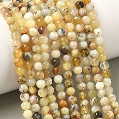 Природные желтые опал бусины пряди&nbsp;G-I213-18-4mm