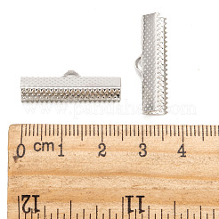 Eisenband Crimp-Enden&nbsp;E182Y