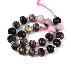 Натуральные разноцветные турмалиновые бусины G-N327-08A-05