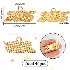 40 шт. высококачественные аксессуары из сплава для ожерелья&nbsp;FIND-SC0012-17G