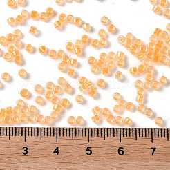 Perles de rocaille en verre&nbsp;X-SEED-S042-13A-05