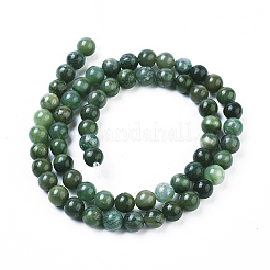 Природные африканские нефритовые бусы пряди&nbsp;G-K091-6mm