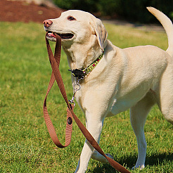 12 шт. 6 стиля застежек для ключей из цинкового сплава FIND-CP0001-55