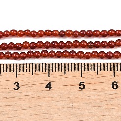 Природные пряди сердолик бисера&nbsp;G-K146-03-2mm