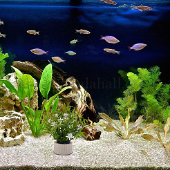 10 шт. керамическое кольцо для фиксации водорослей AJEW-NB0007-16