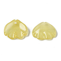 Pulvérisation peint pendentifs en verre transparent&nbsp;GGLA-S054-014E-04