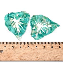 Прозрачные подвески из ацетата целлюлозы (смолы)&nbsp;FIND-C088-05A