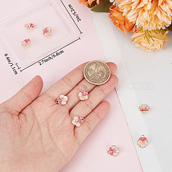 12шт латунные эмалированные подвески KK-BBC0012-21