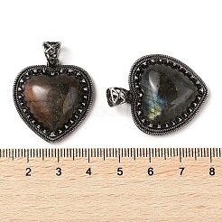 Pendenti naturali di pietra misti&nbsp;G-A095-01AS
