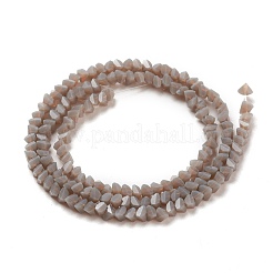 Glasperlen Stränge&nbsp;X-GLAA-L031-01-C10