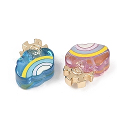 Прозрачные смоляные эмалевые бусины RESI-L047-19