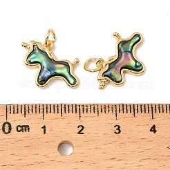 Подвески-единороги из натуральной ракушки пауа KK-G538-35G