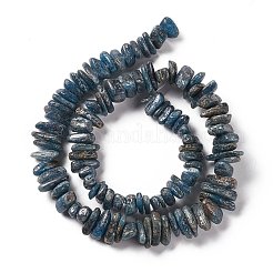 Perline Kyanite naturali fili&nbsp;G-F719-09