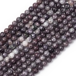 Натуральные лепидолитовые бусины G-G284-A02-8mm