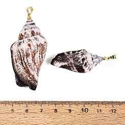Große Anhänger aus Messing und natürlicher Spiralmuschel&nbsp;SHEL-Q029-29KCG