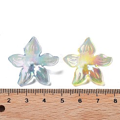 UV-beschichtete transparente Perlenkappen aus Acryl&nbsp;MACR-K356-15B
