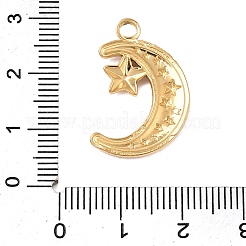 Pendentifs en acier inoxydable 304&nbsp;STAS-N108-93G-02