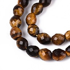 Природных тигровый глаз бисер нитей G-T142-78