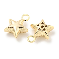 Латунные подвески&nbsp;KK-L211-009G-03