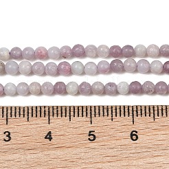 Fili di perline di lepidolite naturale&nbsp;GG-CBA0389-A05-3mm