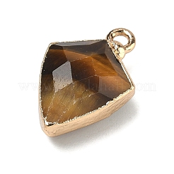 Pendentifs en œil de tigre naturel&nbsp;G-K422-01G-08