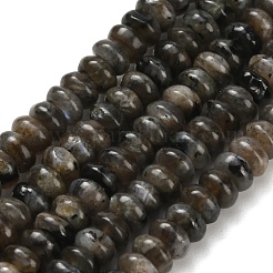 Натуральные нити бус из ларвикита G-Z110-B19-2x4mm