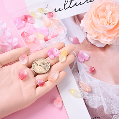 30 шт. 6 вида прозрачных стеклянных бусин-лепестков&nbsp;DGLA-YW0001-33