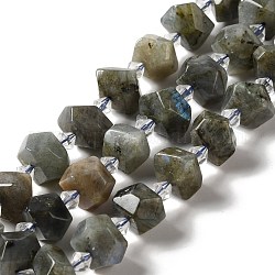Chapelets de perles en labradorite naturelle , puce, 14~16x12~14x8~10mm, Trou: 1mm, Environ 24 pcs/chapelet, 14.76'' (37.5 cm)