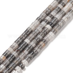 Fili di perline di pietra naturale occhio d'aquila, perline Heishi, Rotondo piatto / disco, 4x2.50mm, foro:0.70mm