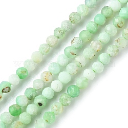 Natural Chrysoprase Beads Strands, Faceted, Round, 3mm, Hole: 0.7mm, about 130~140pcs/strand, 15.35~15.47 inch(39~39.3cm)