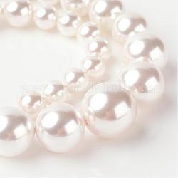 Shell Perle abgestuft Perlen Stränge, Runde, Klasse A, weiß, 8~16 mm, Bohrung: 1 mm, ca. 39 Stk. / Strang, 15.74 Zoll