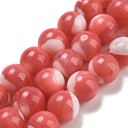 Brins de perles de trocas naturelles teintes, ronde, corail lumière, 10mm, Trou: 1.2mm, Environ 41 pcs/chapelet, 15.08 pouce (38.3 cm)