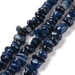 Dyed & Heated Natural Apatite Beads Strands, Nuggets, 7.5~8x7~8x3.5~11mm, Hole: 0.9mm, about 76~80pcs/strand, 15.55~15.94 inch(39.5~40.5cm)