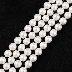 Hebras de cuentas de concha, grano de la perla de imitación, Grado A, redondo, blanco, 6mm, agujero: 0.5 mm, 63~64 pcs / Hilo, 15 pulgada