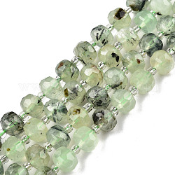 Perline Prehnite naturale fili, con perline semi, sfaccettato, rondelle, 8x6mm, Foro: 1 mm, circa 20~22pcs/filo, 7.09 pollice (18 cm)