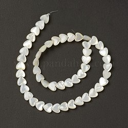 Natürliche weiße Muschel Perlmutt Muschel Perlen, Herz, creme-weiß, 8x8x3.5 mm, Bohrung: 0.7 mm, ca. 50 Stk. / Strang, 14.09'' (35.8 cm)