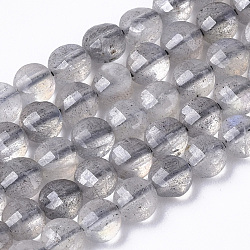 Chapelets de perles en labradorite naturelle , plat rond, facette, 3.8x2.5mm, Trou: 0.7mm, Environ 105 pcs/chapelet, 15.35 pouce (39 cm)