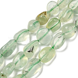 Chapelets de perles en préhnite naturelle, pépites, pierre roulée, 3~11x4~8x3~6mm, Trou: 0.9mm, Environ 56 pcs/chapelet, 15.94''~15.75'' (40~40.5 cm)