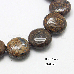 Natur Bronzit Perlen Stränge, Flachrund, 12x6 mm, Bohrung: 1 mm, ca. 33 Stk. / Strang, 15.5 Zoll