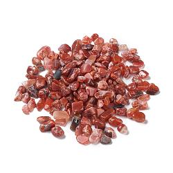 Perle di agata naturale del sud rosso, Senza Buco / undrilled, pepite, pietra burrattata, gemme di riempimento del vaso, 7~16x6~8x2~6mm, circa 1428pcs/1000g