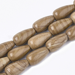 Natürliches Bild Jaspis Perlen Stränge, Träne, 19~20x10~10.5 mm, Bohrung: 1 mm, ca. 20 Stk. / Strang, 15.3 Zoll