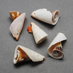 Pendenti a spirale shell, guscio, cioccolato, 26~55x10~30x10~30mm, Foro: 1~2 mm