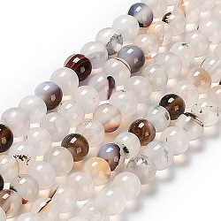 Chapelets de perles d'agate naturelle, ronde, teints et chauffée, 6mm, Trou: 1mm, Environ 64 pcs/chapelet, 14.5 pouce