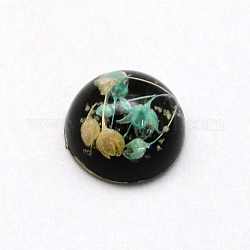 Cabochons en résine lumineux, demi-rond / dôme, avec fleurs séchées à l'intérieur, noir, 11.5~12x6~6.5mm