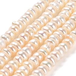 Natural Cultured Freshwater Pearl Beads Strands, Grade 3A+, Rondelle, Moccasin, 5~5.5x3~4mm, Hole: 0.8mm, about 99pcs/strand, 13.78''(35cm)
