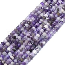Chapelets de perles en améthyste naturelle, facette, rondelle, 6x4mm, Trou: 1mm, Environ 85~90 pcs/chapelet, 15.55 pouce (39.5 cm)